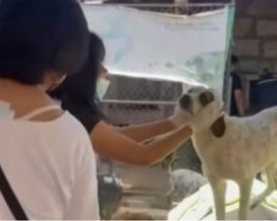 rs-bienestarA-2 rs-bienestarA-2